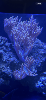 IMG_6292.png