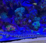 IMG_5742.jpeg