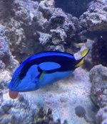 IMG_2698.jpeg