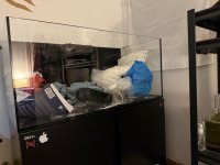 IMG_1332.jpeg