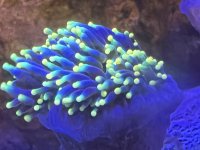 IMG_2855.jpeg