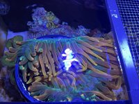 IMG_2481.jpeg