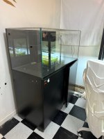 IMG_1368.jpeg