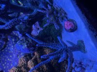 IMG_2741.jpeg