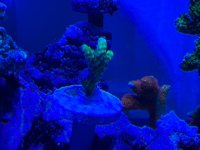 IMG_0580.jpeg IMG_0580.jpeg
