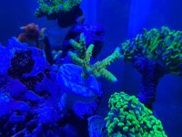 IMG_0579.jpeg IMG_0579.jpeg
