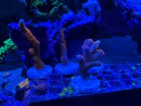 IMG_0582.jpeg IMG_0582.jpeg