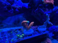 IMG_0583.jpeg IMG_0583.jpeg