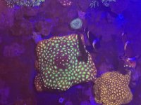 IMG_8769.jpeg