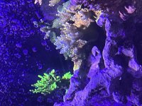 IMG_3598.JPG