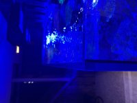 IMG_3564.JPG