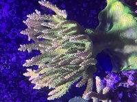 IMG_3581.JPG