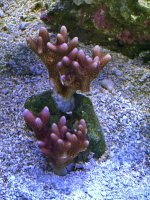 IMG_5843.jpeg