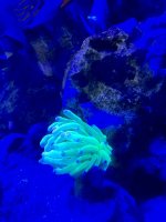 IMG_3048.jpeg