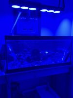 IMG_6488.jpeg