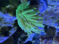 IMG_3058.jpeg