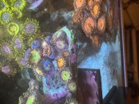 IMG_0761.jpeg