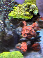 IMG_3524.jpeg