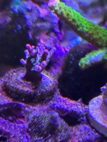 IMG_3478.jpeg