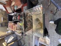 IMG_1573.jpeg