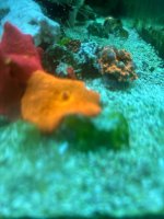 IMG_3603.jpeg