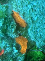 IMG_3605.jpeg