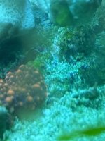 IMG_3604.jpeg