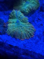 IMG_3609.jpeg