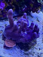 IMG_3048.jpeg