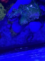 IMG_3659.jpeg