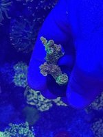 IMG_3657.jpeg