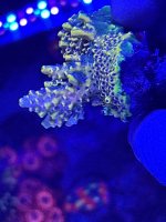 IMG_3643.jpeg