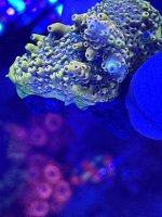IMG_3644.jpeg