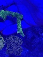 IMG_3658.jpeg