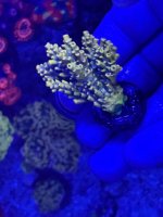 IMG_3655.jpeg