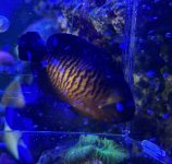 IMG_7597.jpeg