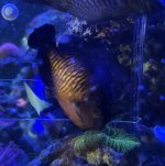 IMG_7598.jpeg