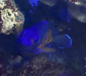 IMG_7617.jpeg
