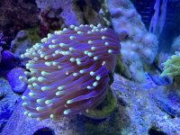 IMG_3139.jpeg