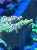 IMG_3673.jpeg