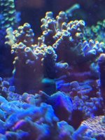 IMG_3674.jpeg