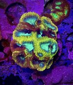 IMG_4769.jpeg