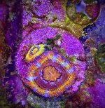 IMG_4876.jpeg