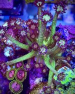 IMG_4224.jpeg