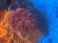 IMG_2752.jpeg