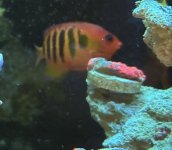 IMG_3685.jpeg