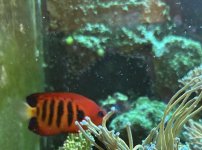 IMG_3684.jpeg