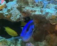 IMG_3683.jpeg