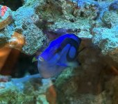 IMG_3681.jpeg