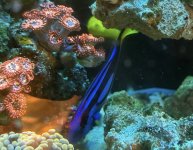 IMG_3682.jpeg